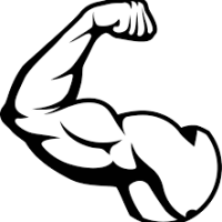 muscle