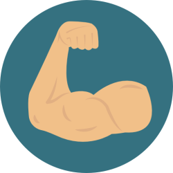 musclr